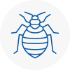 Bed Bug Extermination In South Lanarkshire